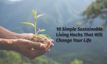 10 Simple Sustainable Living Hacks That Will Change Your Life