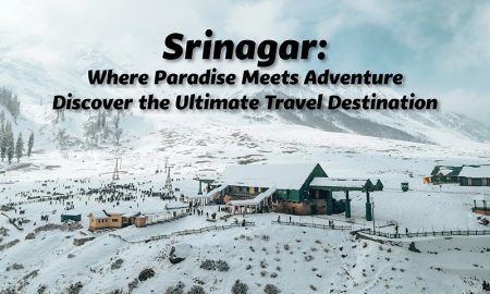 Srinagar: Where Paradise Meets Adventure - Discover the Ultimate Travel Destination