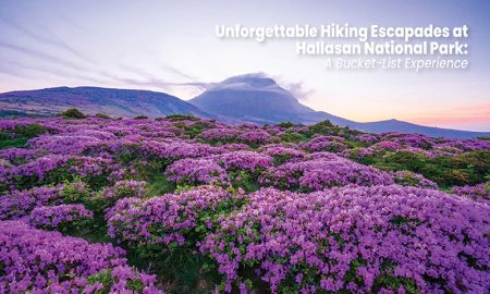 Unforgettable Hiking Escapades at Hallasan National Park: A Bucket-List Experience