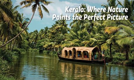 Kerala: Where Nature Paints the Perfect Picture