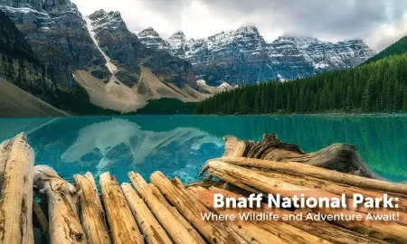 Bnaff National Park: Where Wildlife and Adventure Await!