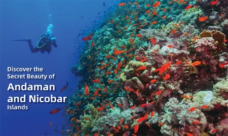 Andaman and Nicobar Islands