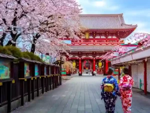 Trending Travel Destinations