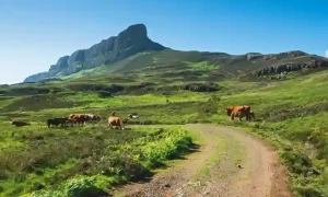 Unexplored Travel Destinations